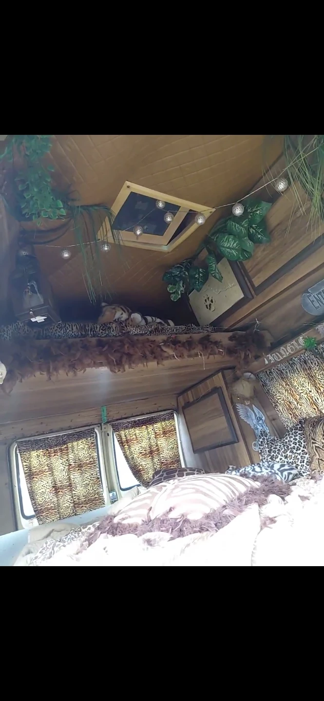 Dodge Ram Van Conversion - photo 5