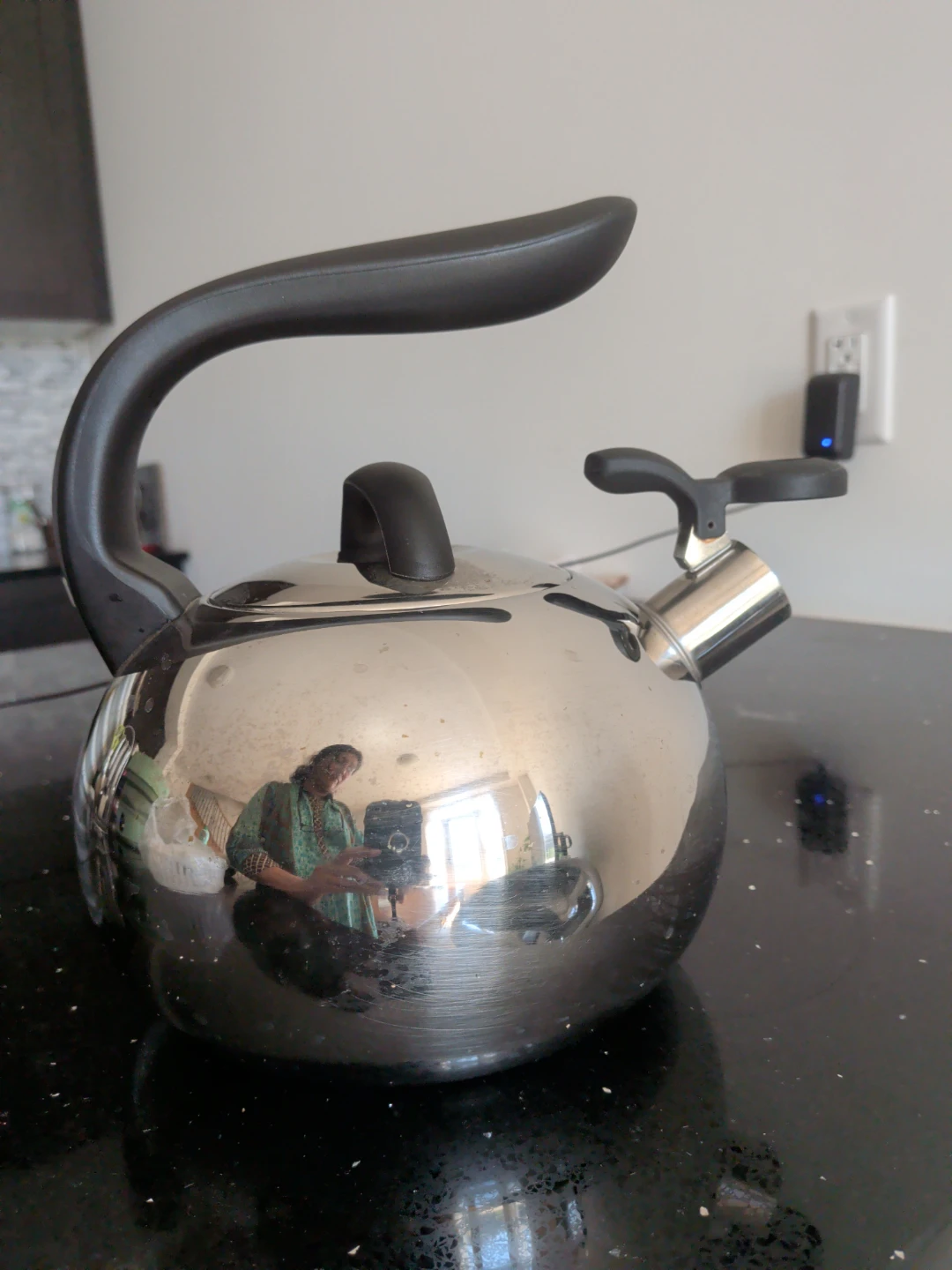 Paderno  Stainless Steel Whistling Kettle - photo 3