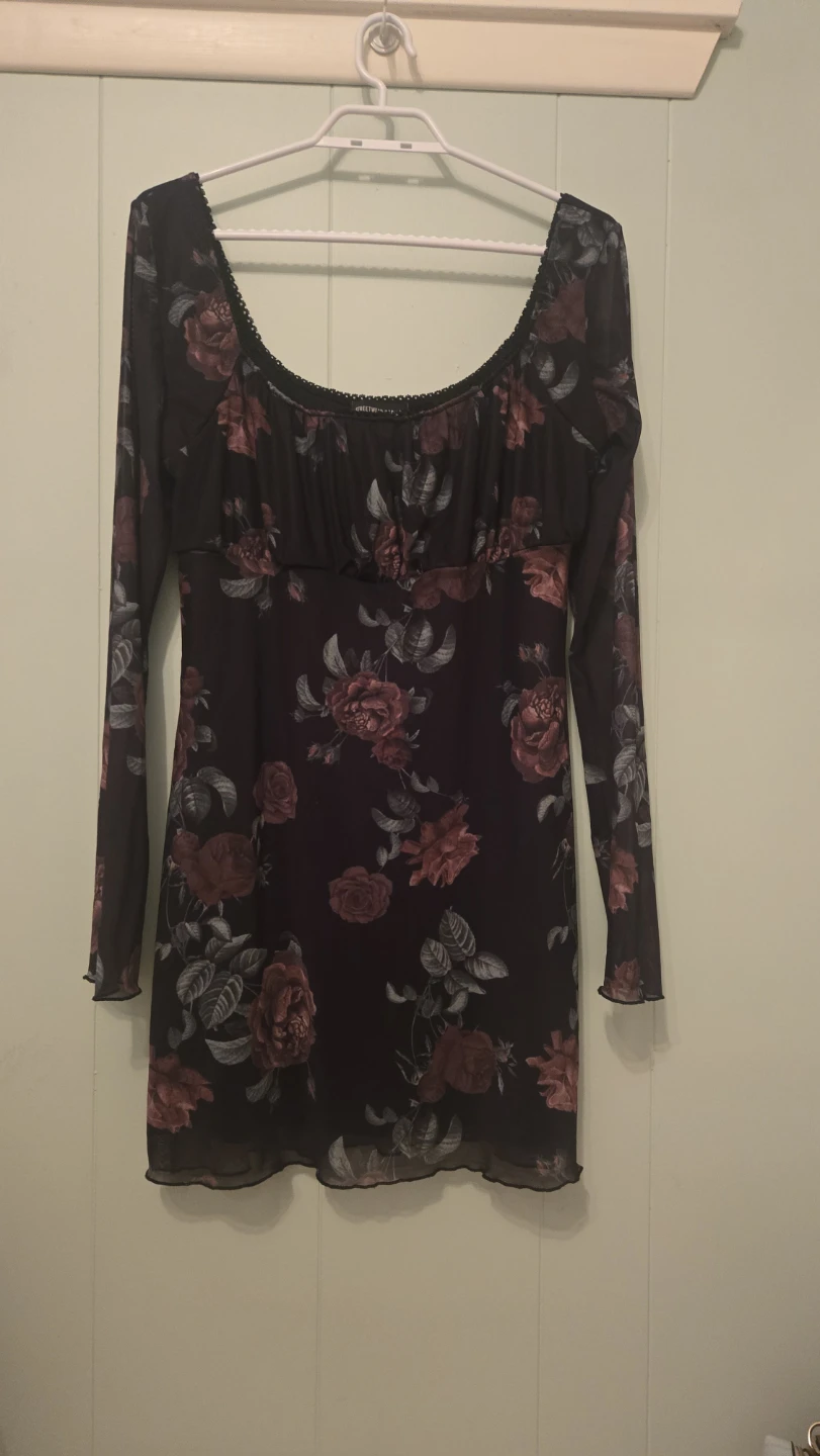 Sheer Rose Print Mini Dress