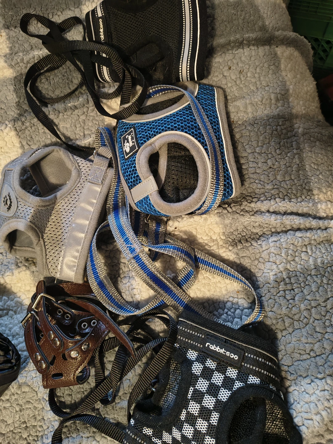 VIVAGLORY & Rabbitgoo Dog Harnesses & Life Jackets
