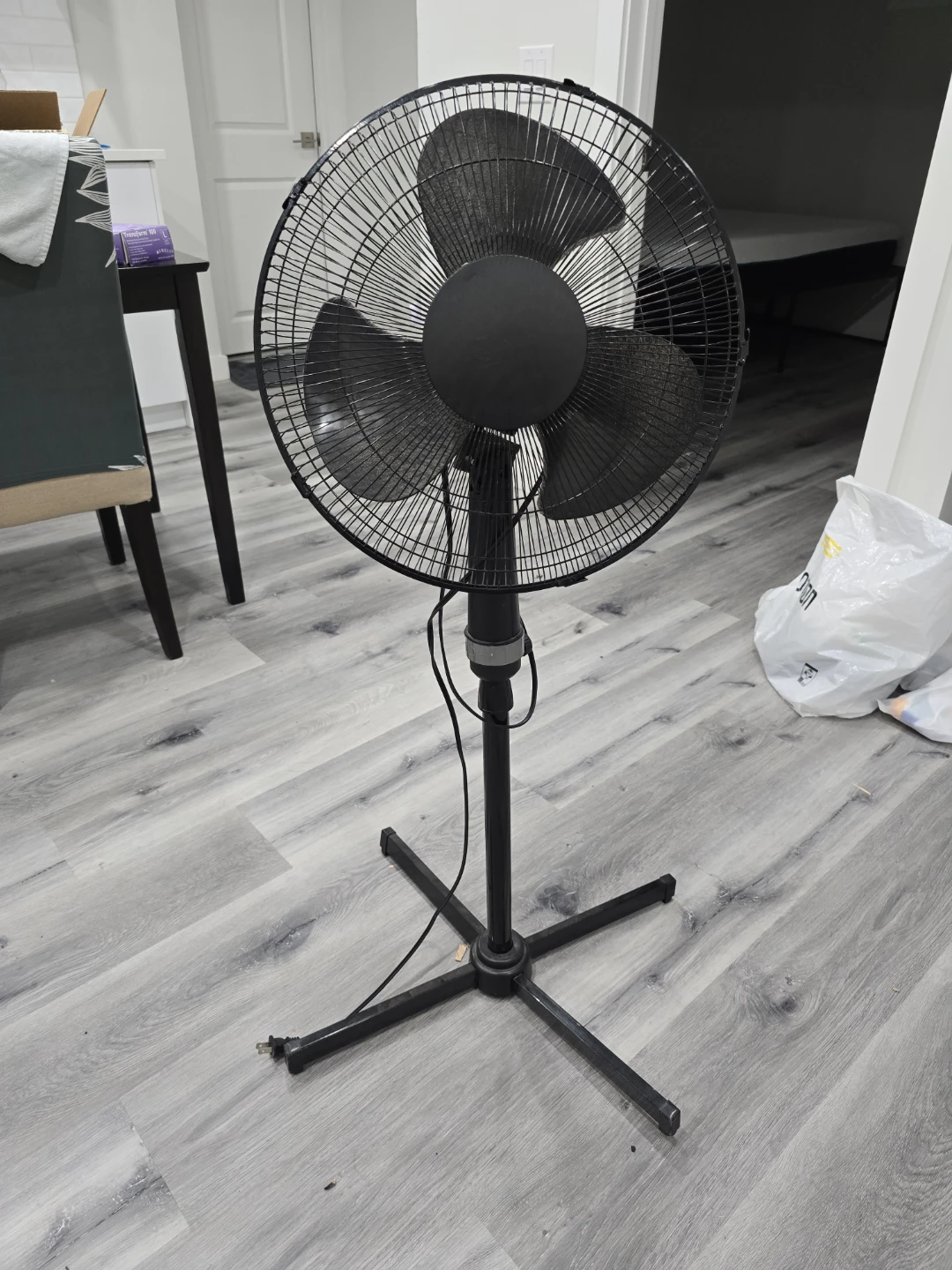 Fan
