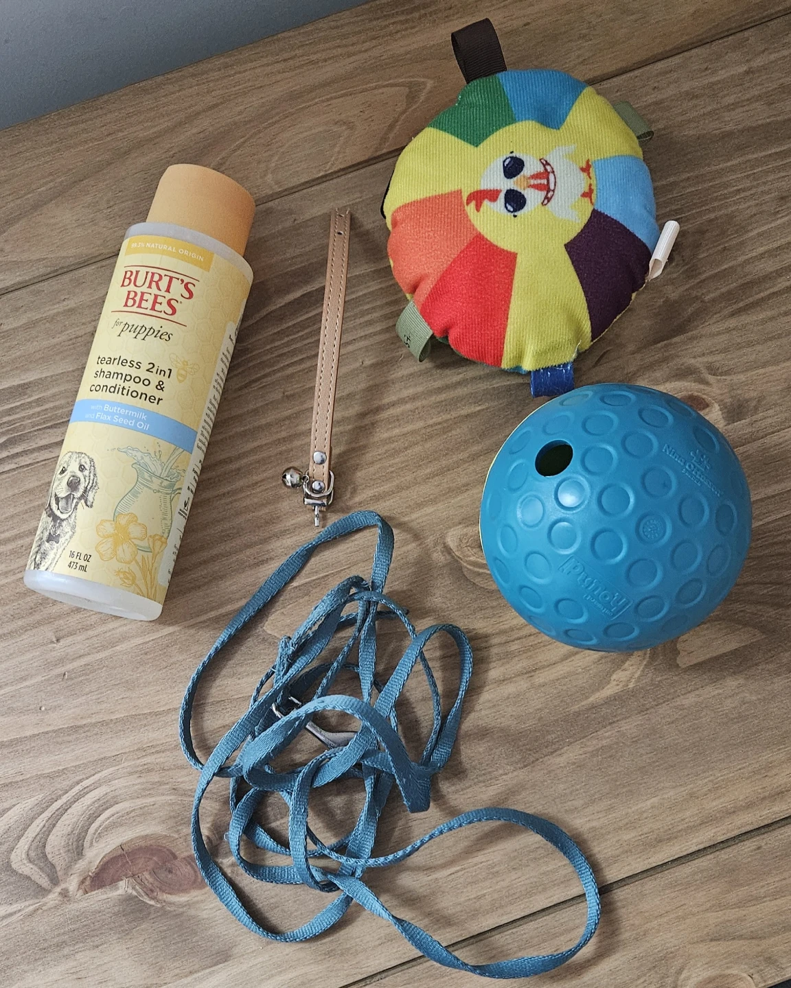 Puppy starter kit