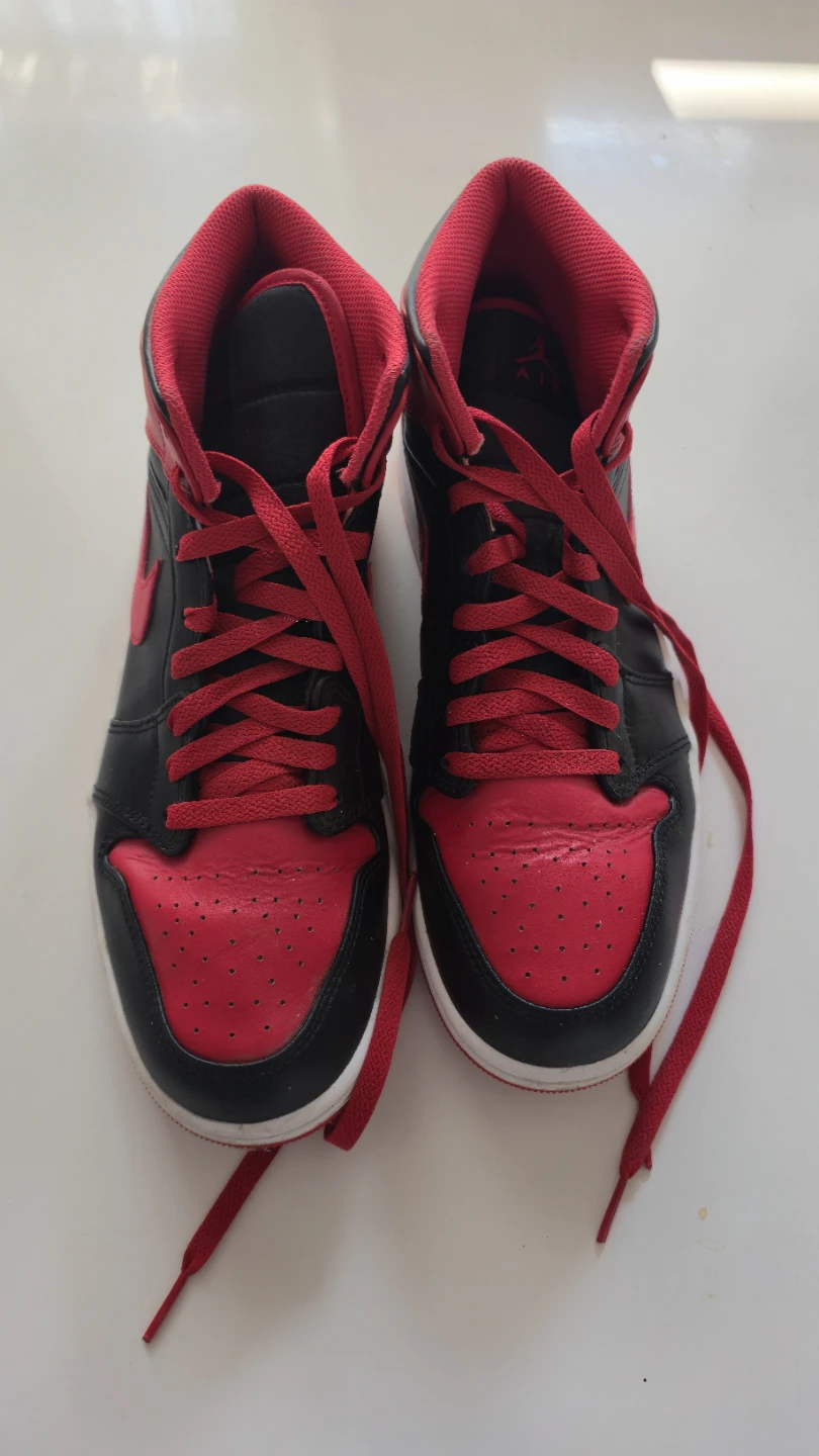 Air Jordan 1 Mid SE Shoes