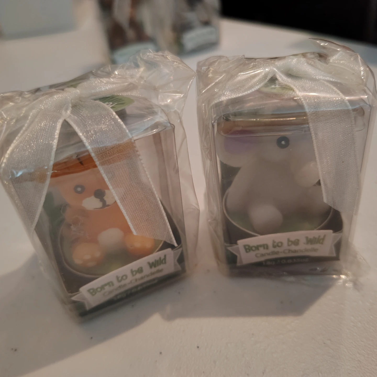 Born to be Wild Candle Favours - Set of 4