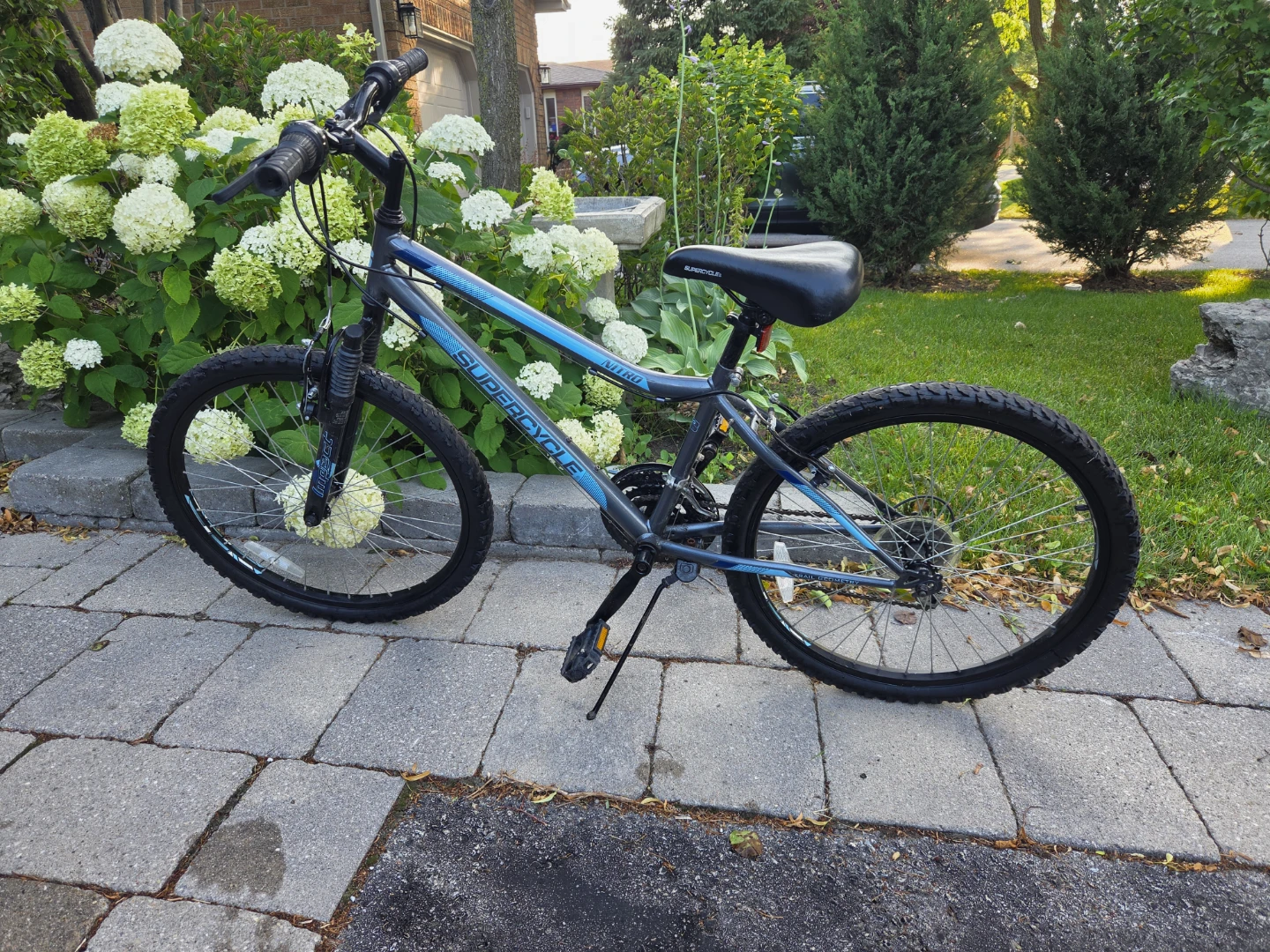 Supercycle Nitro Mountain Bike