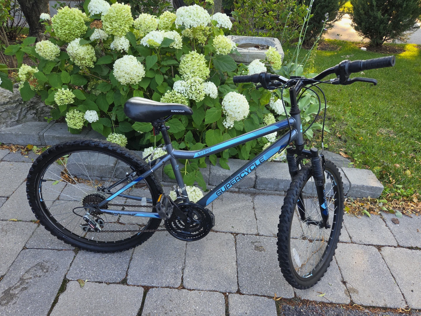 Supercycle Nitro Mountain Bike - photo 2