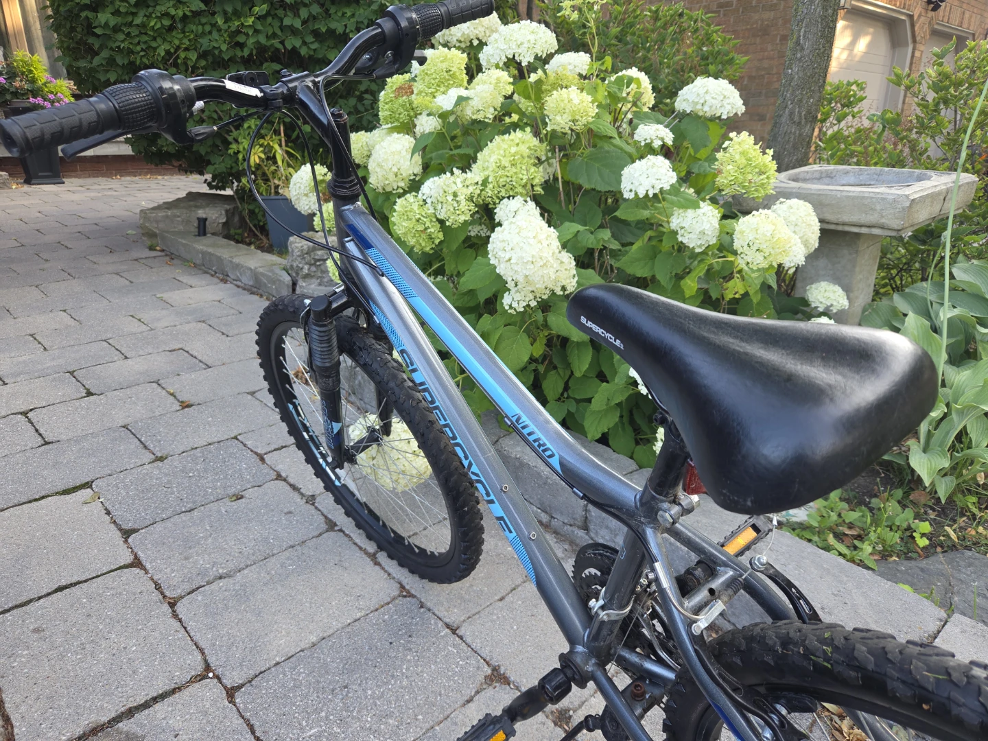 Supercycle Nitro Mountain Bike - photo 4