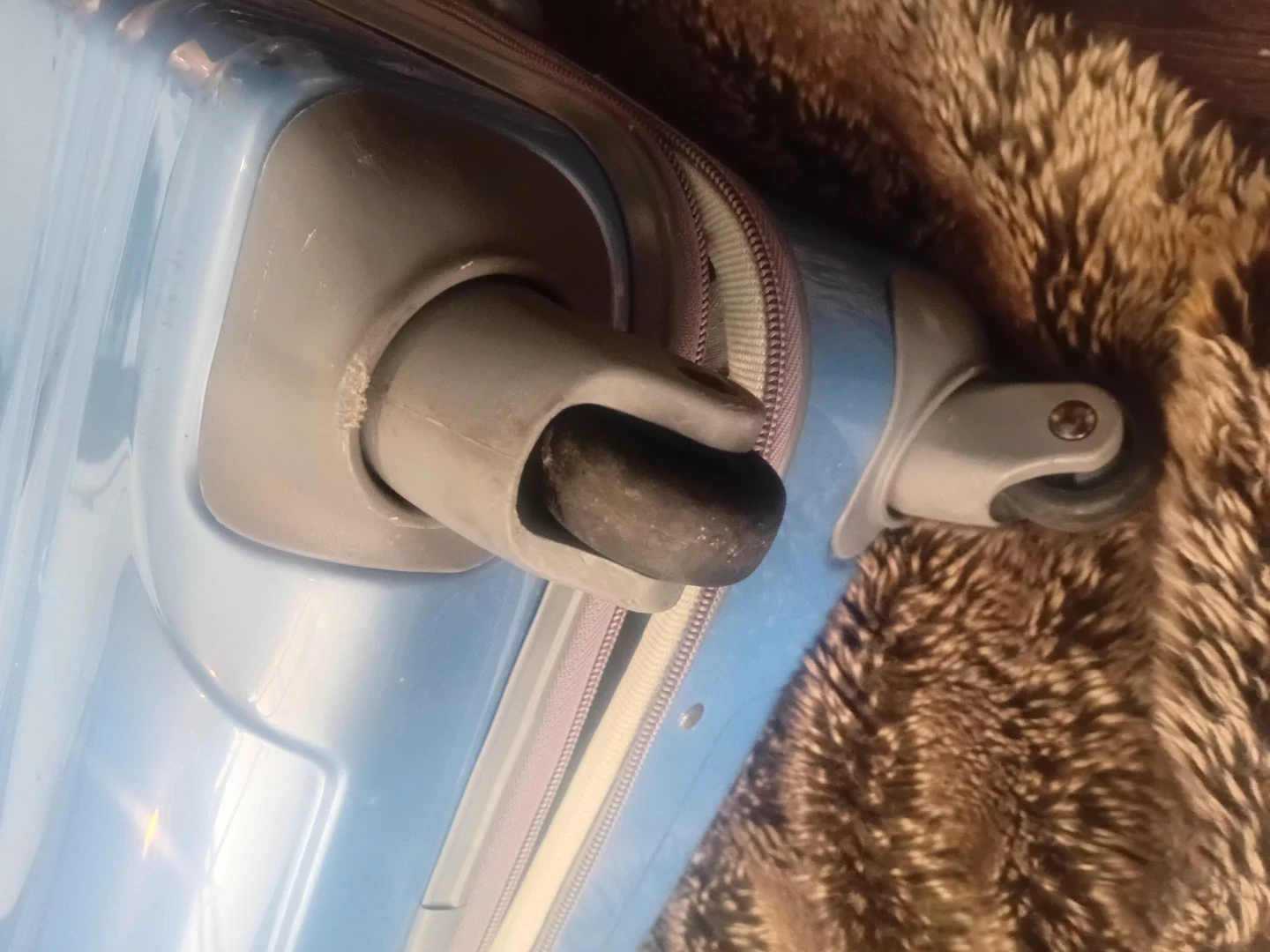 Blue Luggage, 18 " Spinner  Suitcase - photo 5