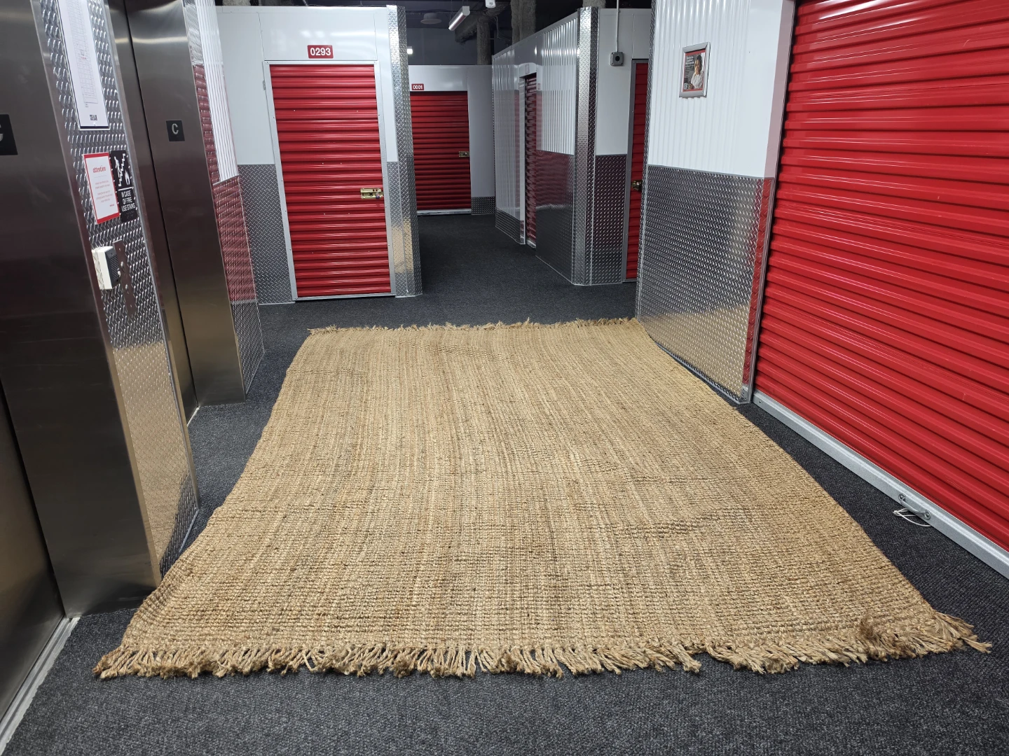 Jute Area Rug with Fringe