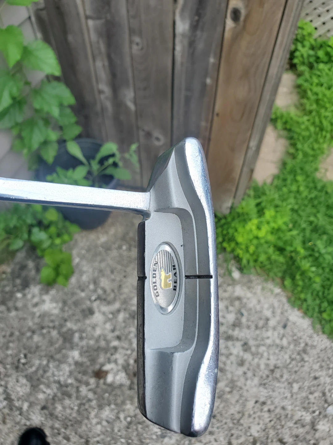 Golf clubs - photo 5