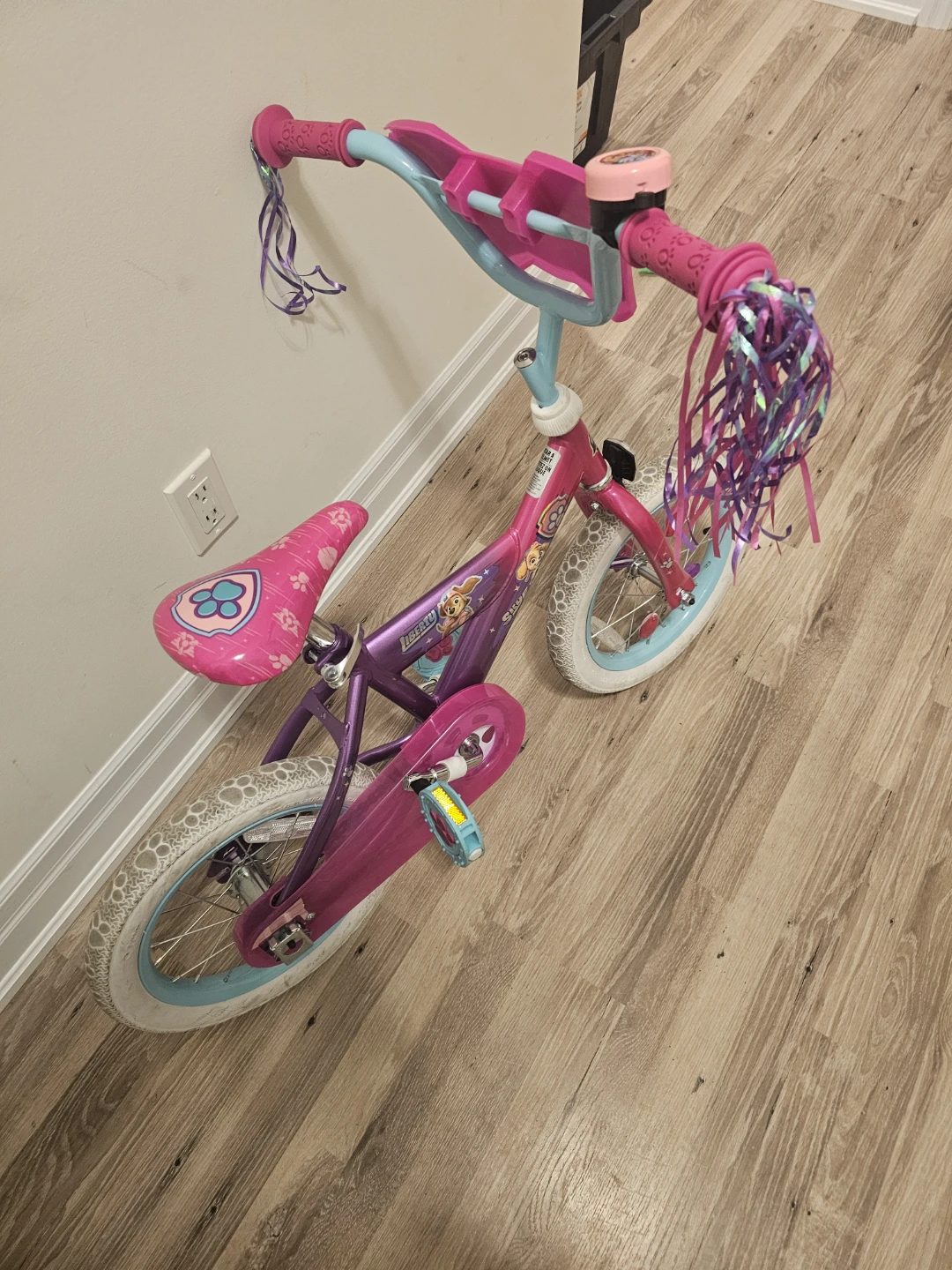 Two Kids Bike (Price of One)