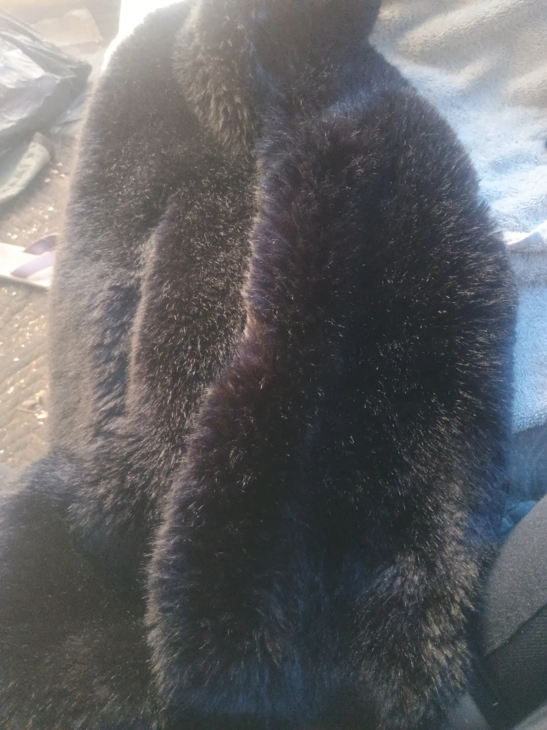 Babaton faux black fir  stole.