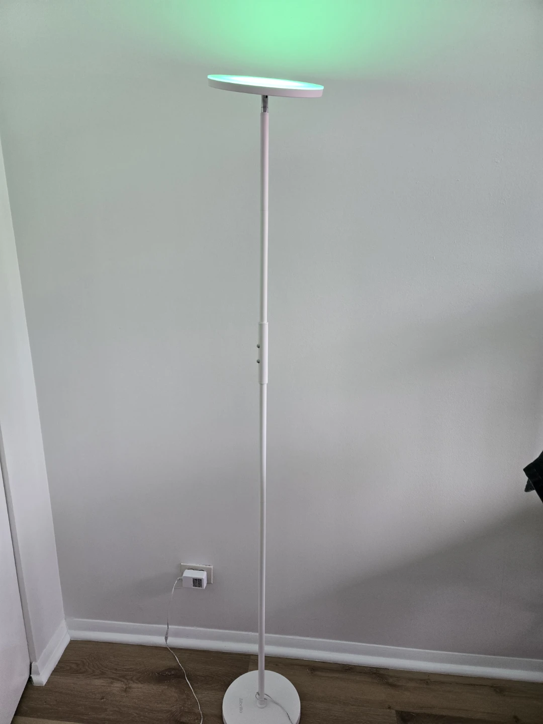 White Floor Lamp with Adjustable Color LED Light - photo 3