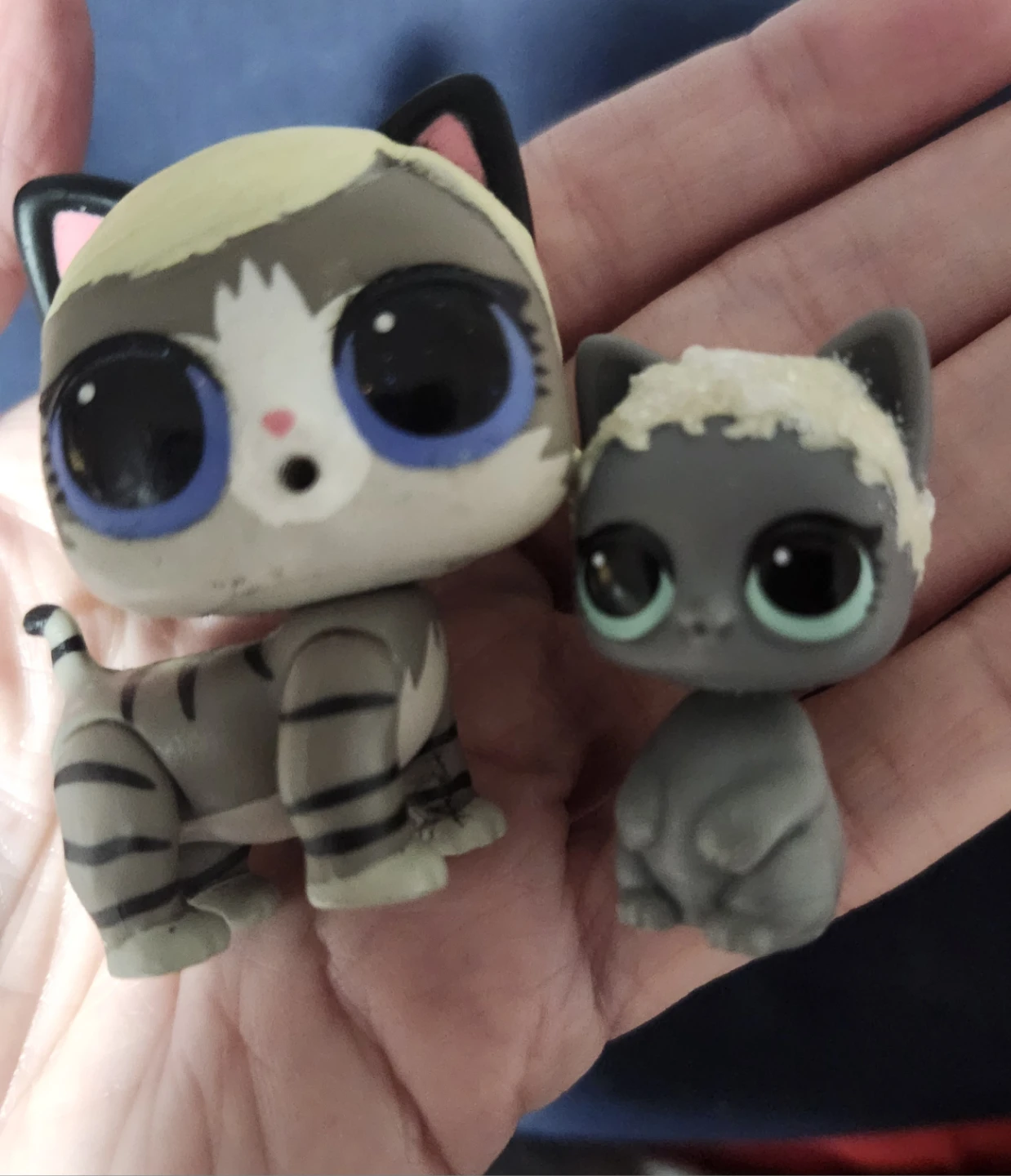 $5 both lol.pets