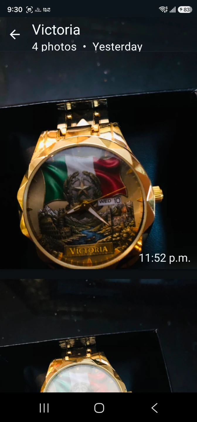Italian flag watch