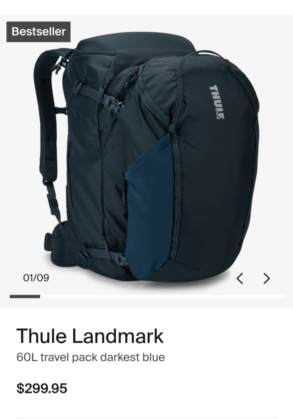 Thule Landmark travel backpack