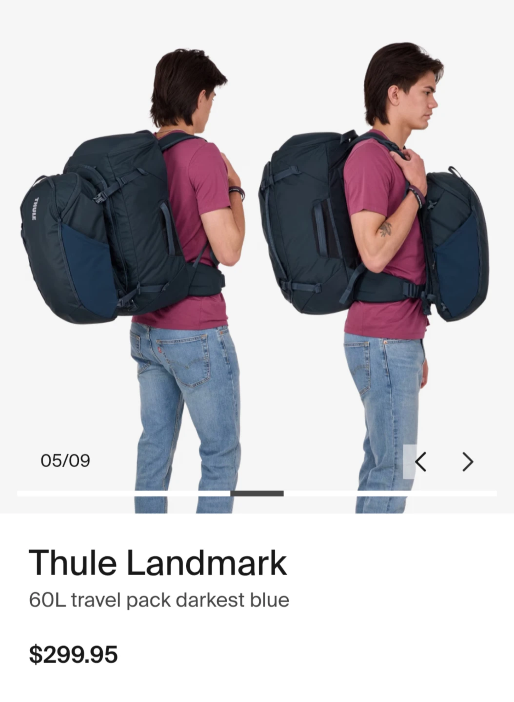 Thule Landmark travel backpack - photo 4