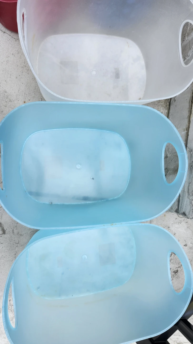 Set of 5 Plastic Storage Baskets (Blue, Red, White) - photo 3