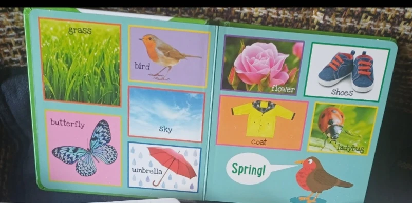 FREE: My First 101 Words Board Book - photo 4