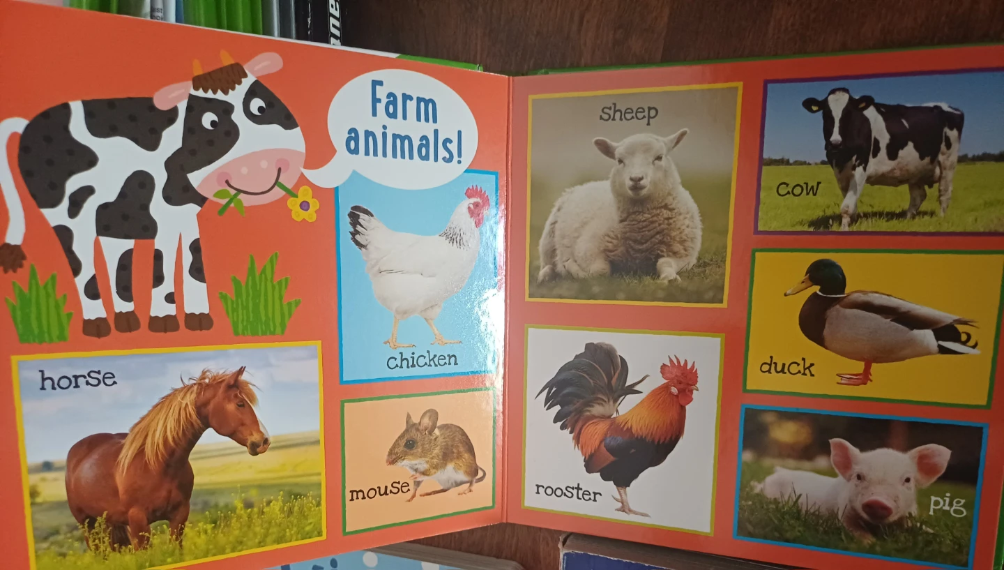 FREE: My First 101 Words Board Book - photo 5