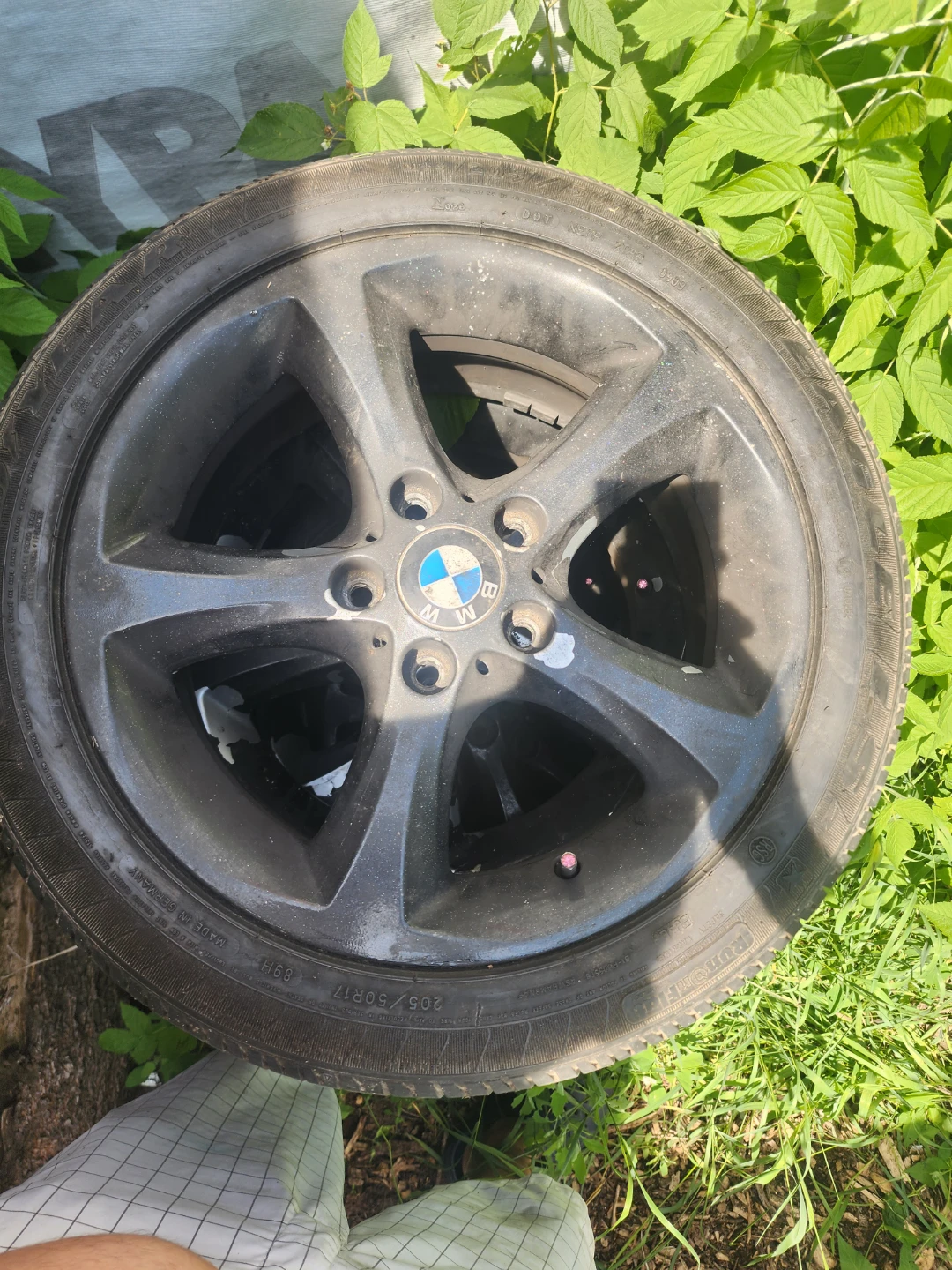 BMW Tire and Rim 205/50R17