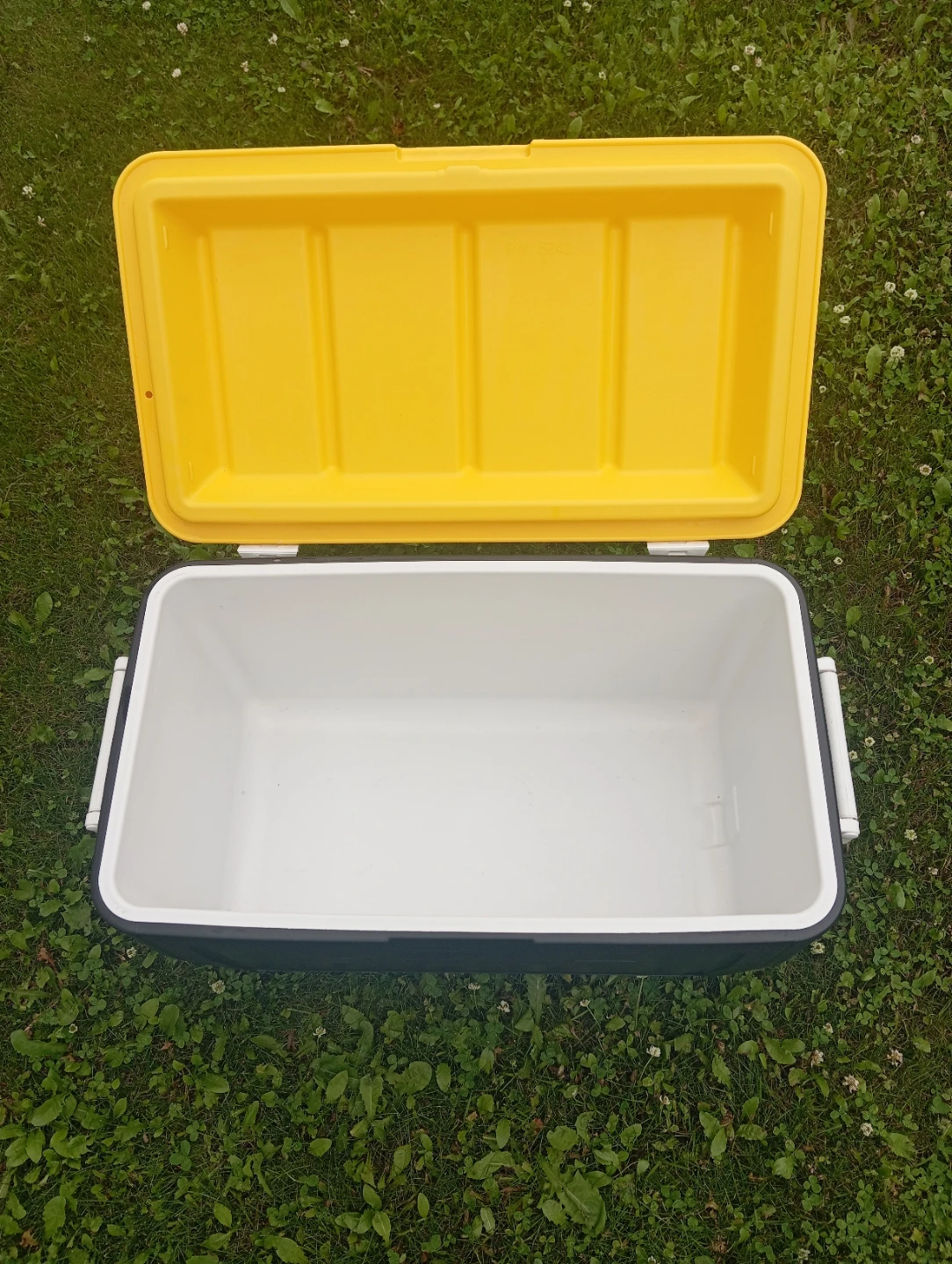 Coleman Cooler 48qt - photo 3