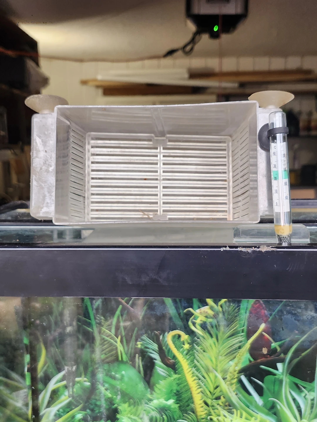 Aquarium Tank and Supplies - photo 2