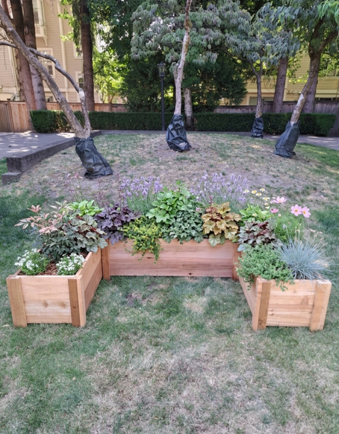Wooden Garden Planter Box - photo 2