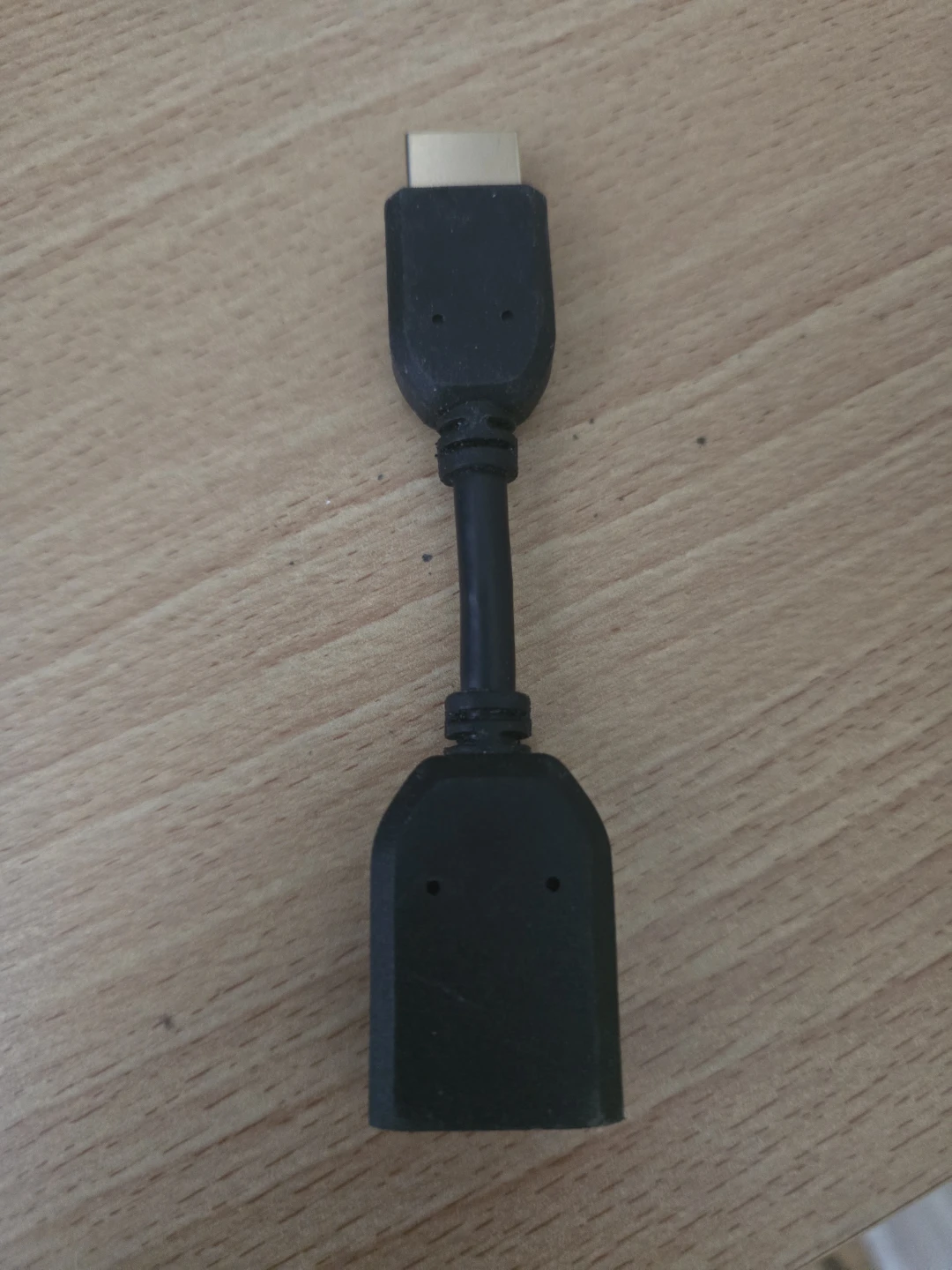 HDMI Adapter Cable