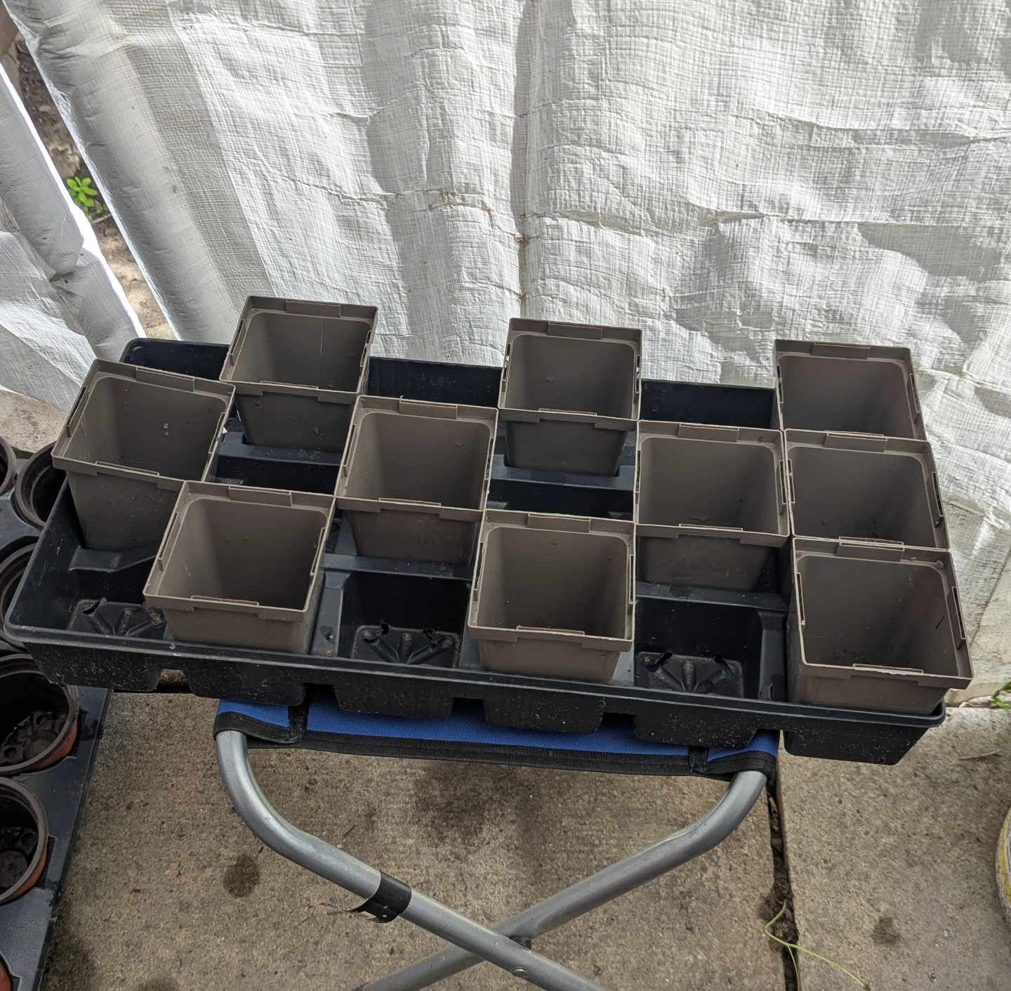 Nursery tray with 3" square pots