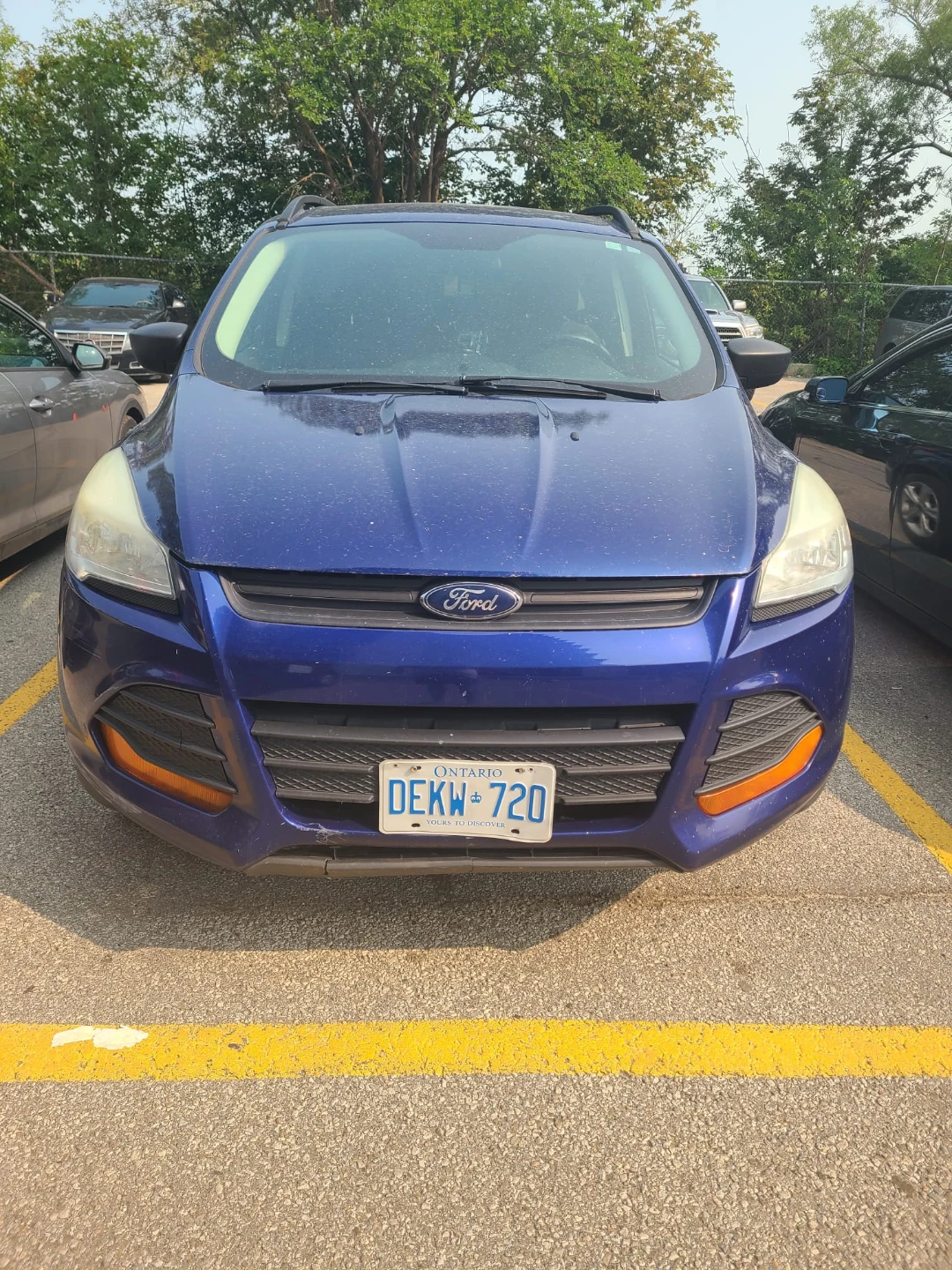 Blue Ford Escape