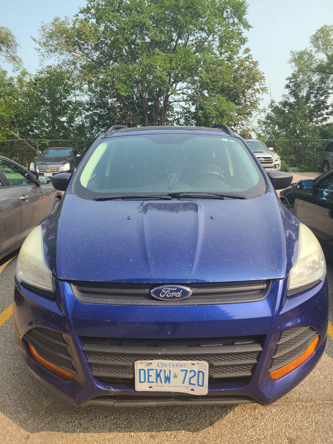 Blue Ford Escape - photo 3