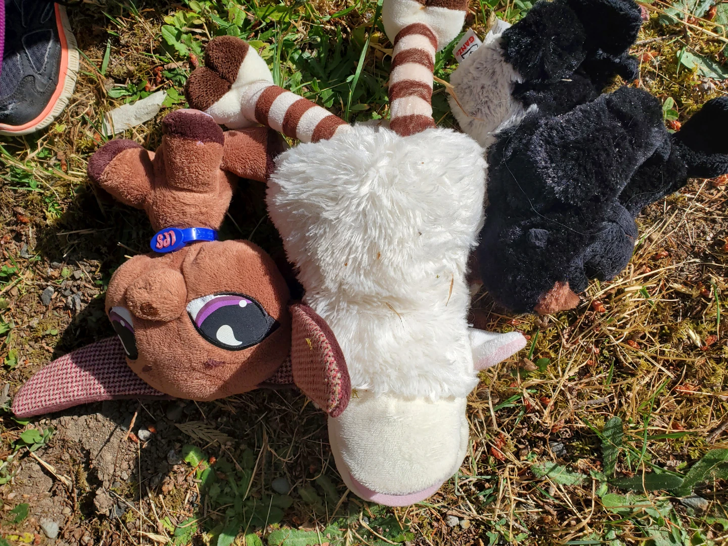 Stuffy Lot - photo 2