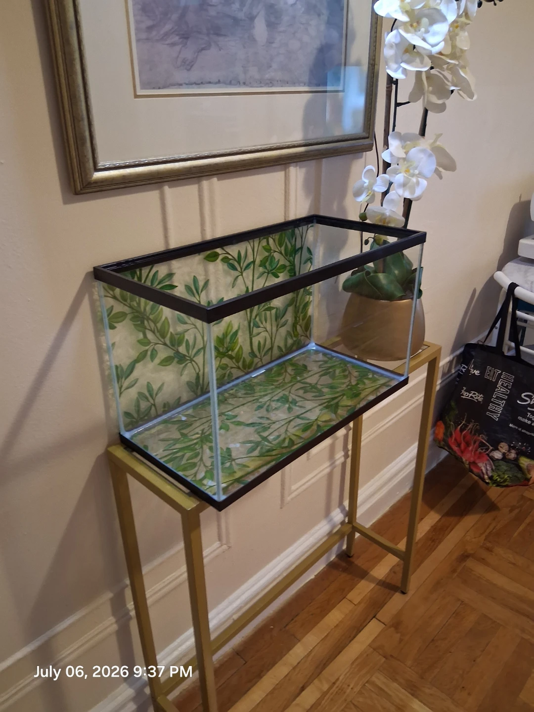 Aqueon Glass Aquarium 10 Gallon - photo 2
