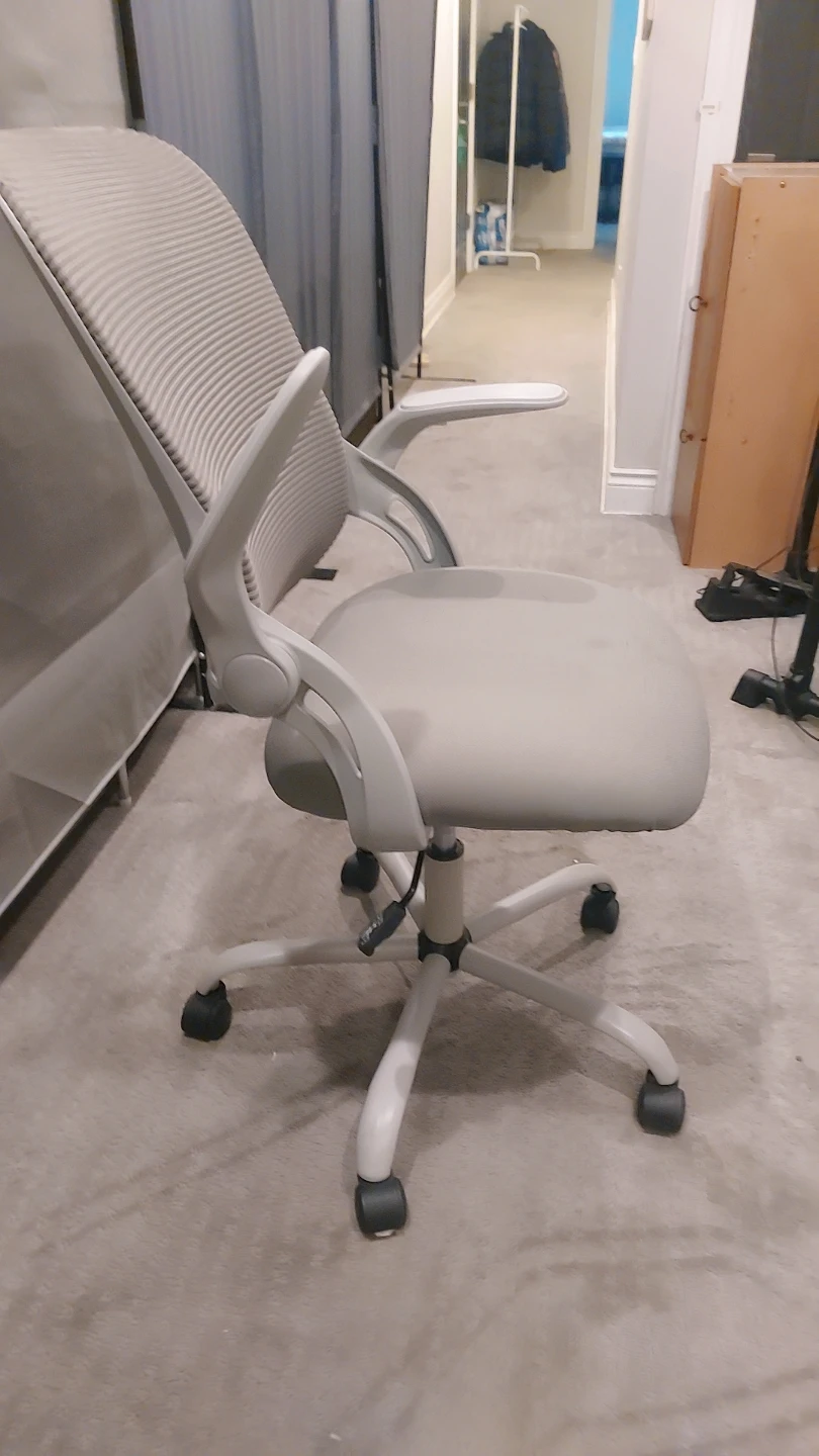 Gray Ergonomic Office Chair - photo 3