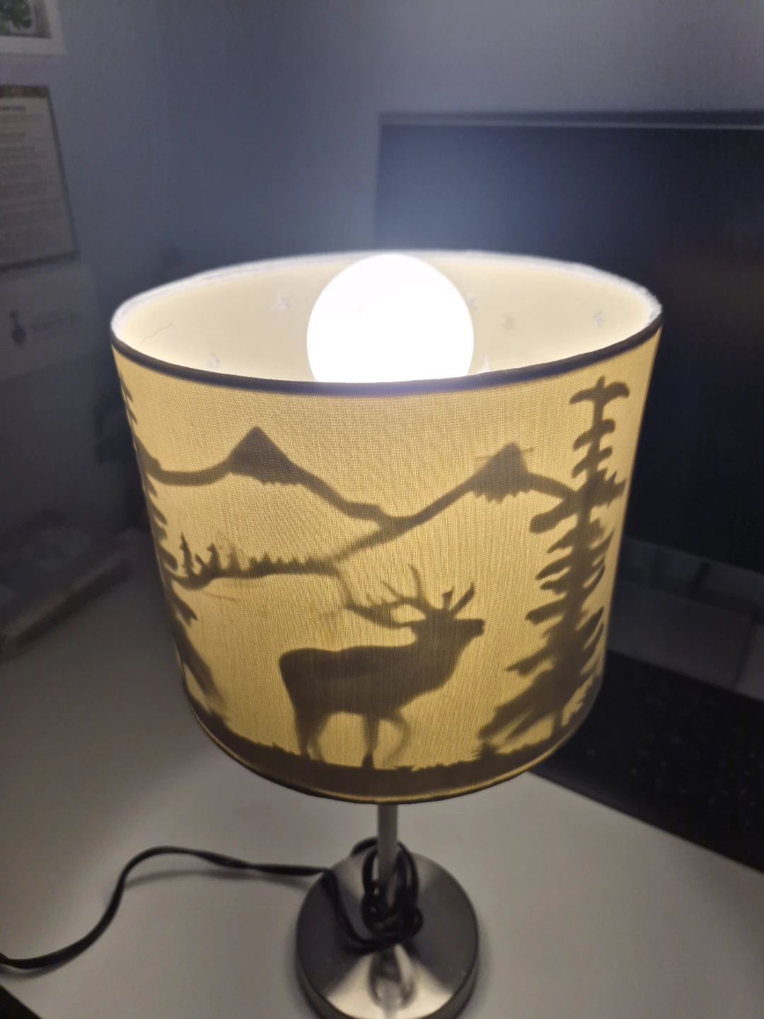 Desk Lamp - photo 2