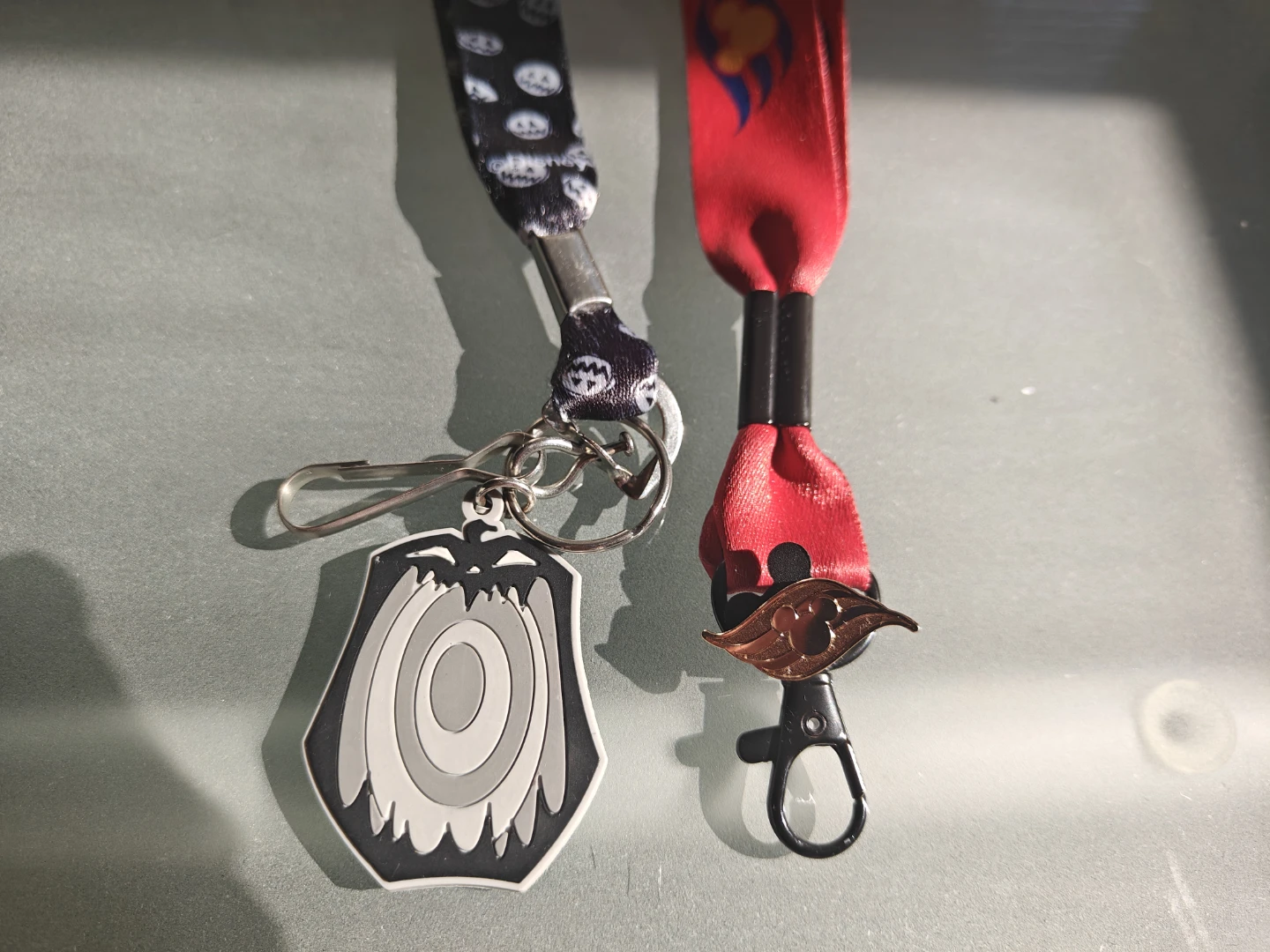 2 Disney Lanyards with Charm and Gold Pin