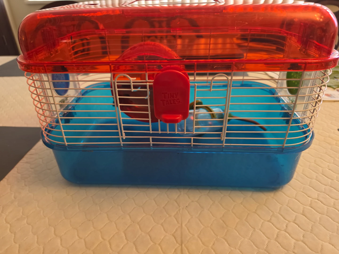 Small Animal Habitat Cage with Wheel and Water Bottle