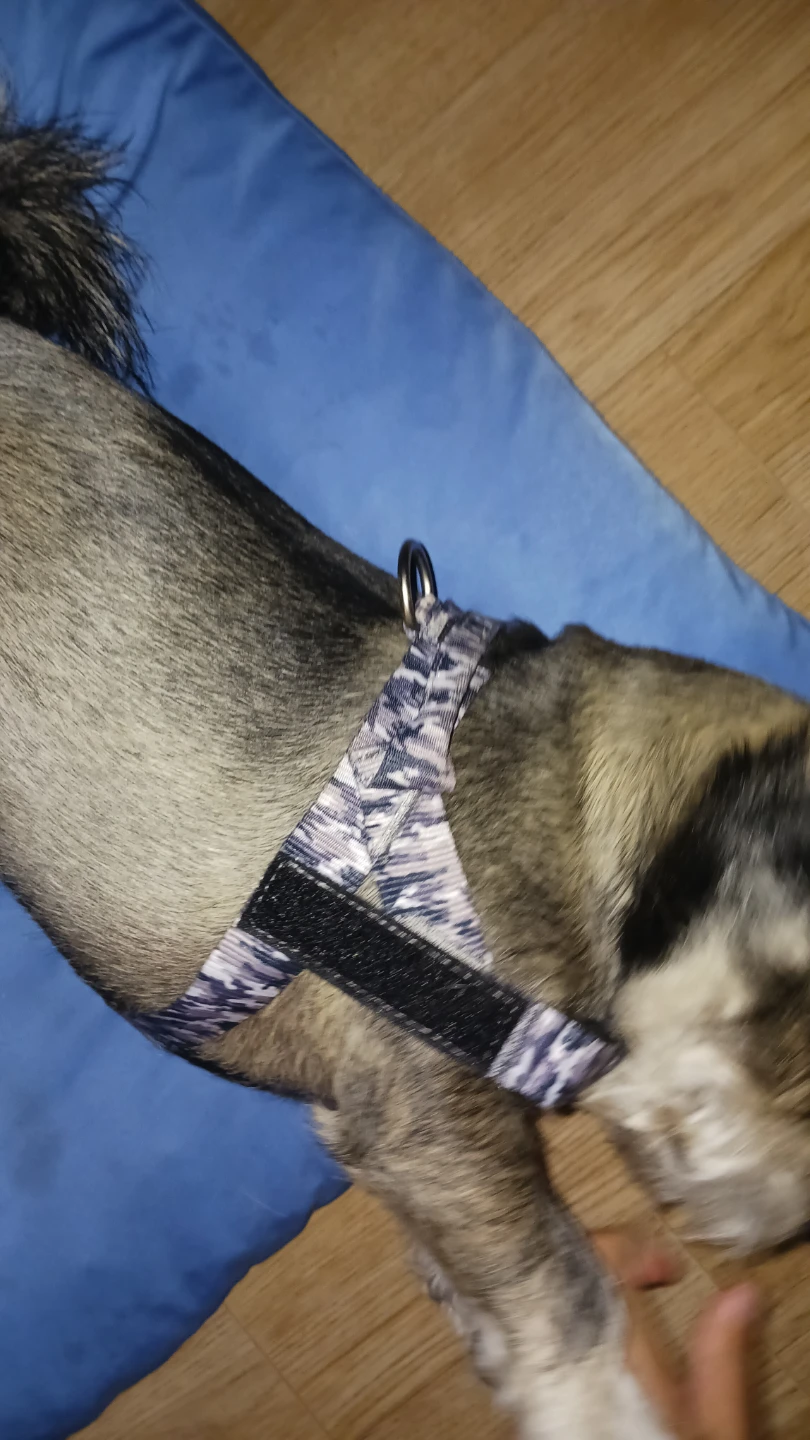 Black Dog Harness with Reflective Strips - photo 5
