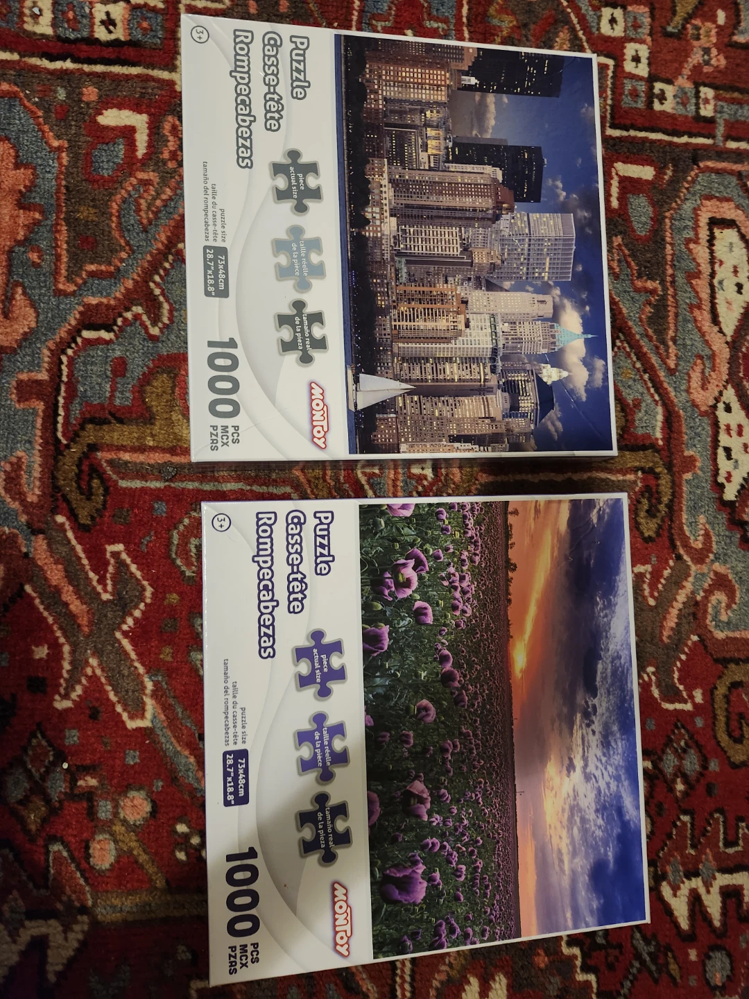 Montoy 1000 Piece Puzzles - Cityscape and Poppy Field