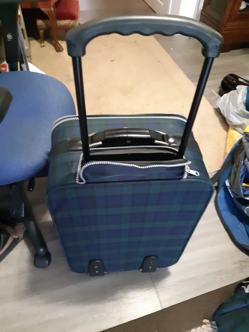 Alfred Sung Plaid Suitcase Set - photo 4