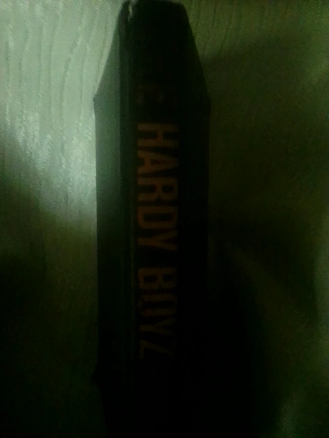 The Hardy Boyz Official Biography Book - photo 2