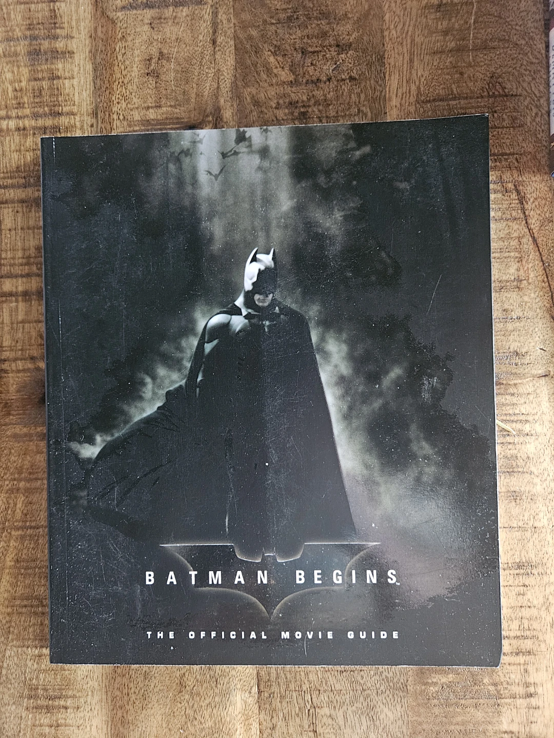 Batman Begins: The Official Movie Guide