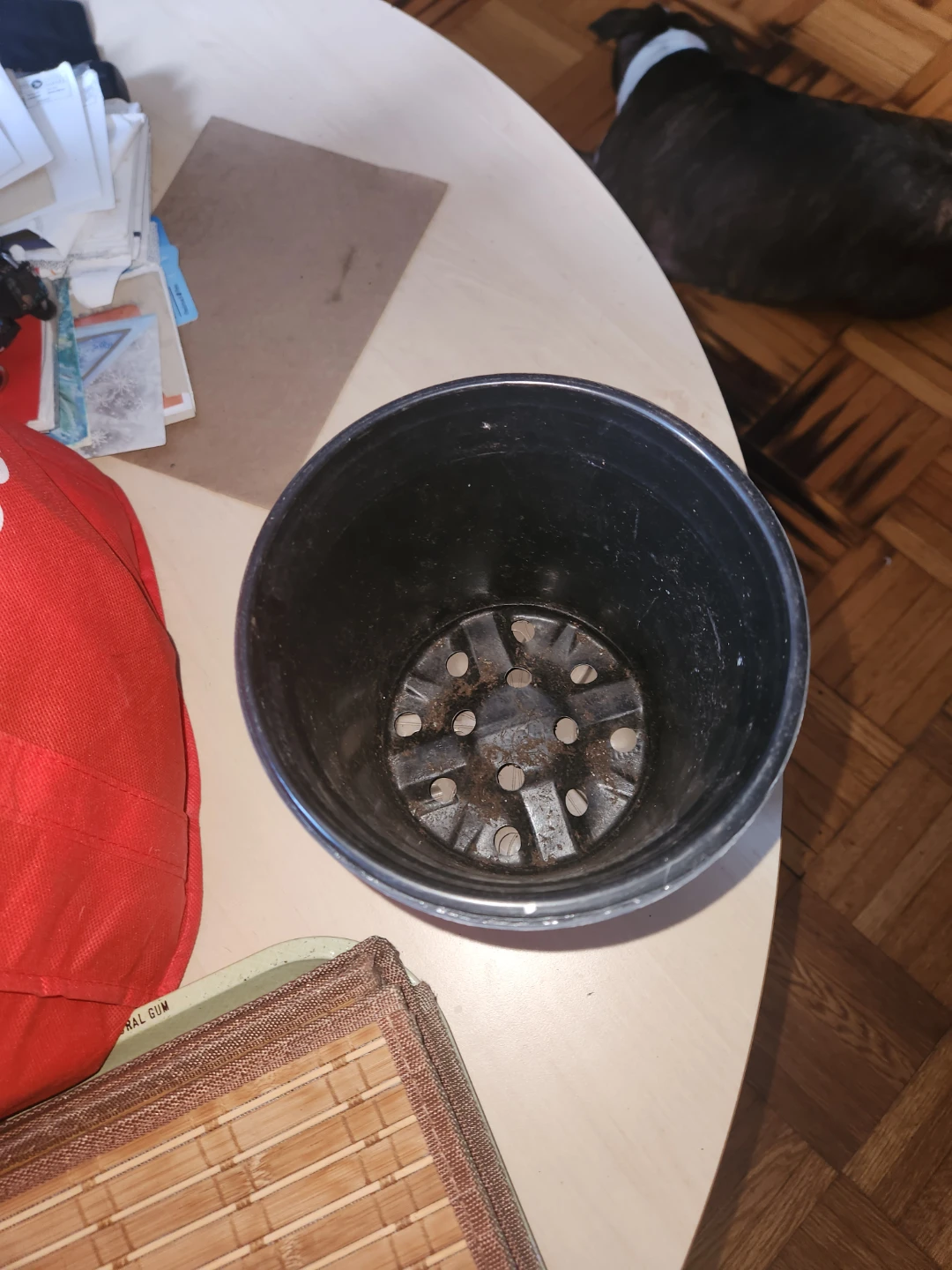 Used Black Plastic Plant Pots - photo 2