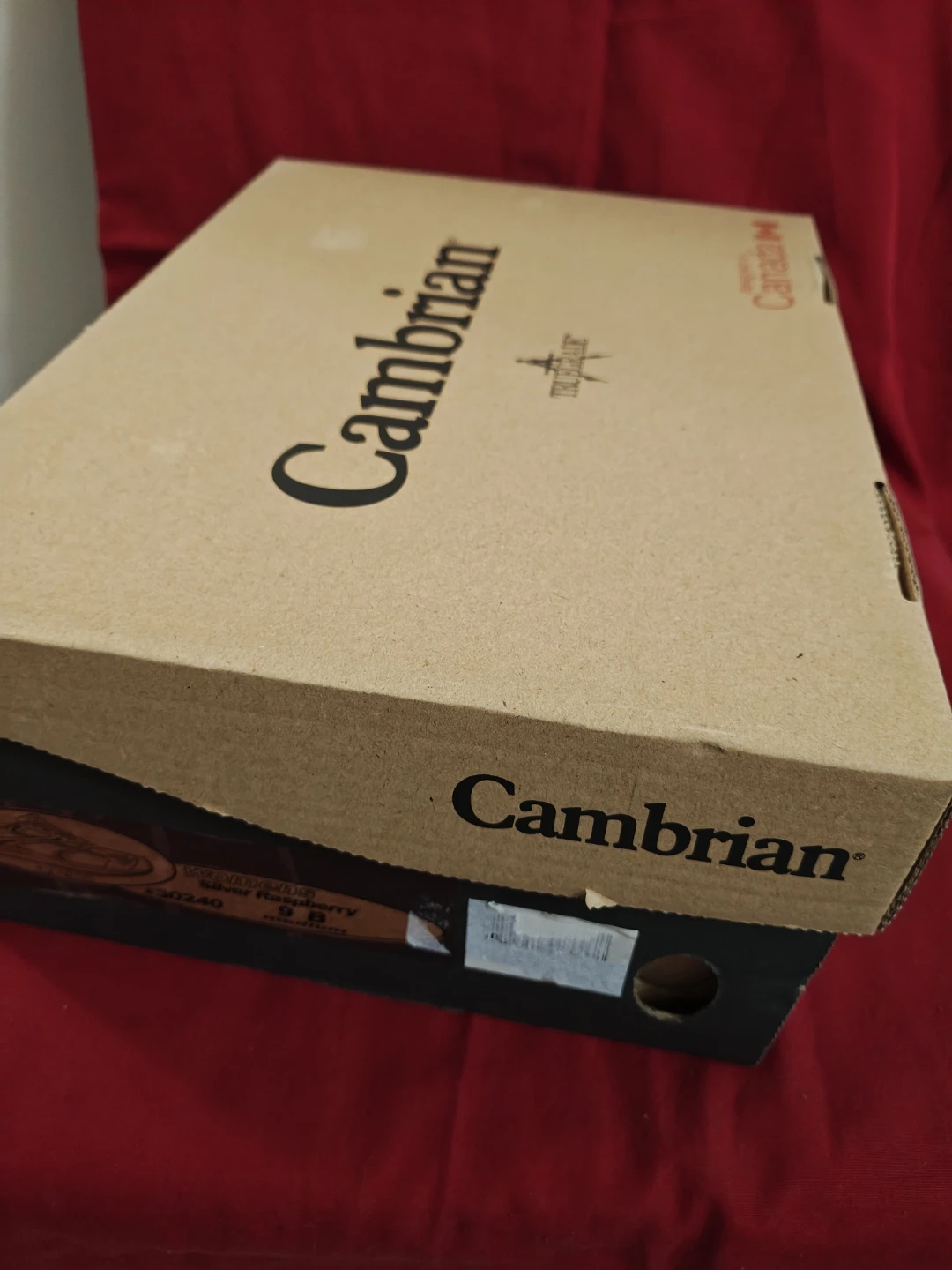 Cambrian Genesis Women's Silver Raspberry Shoes - photo 4