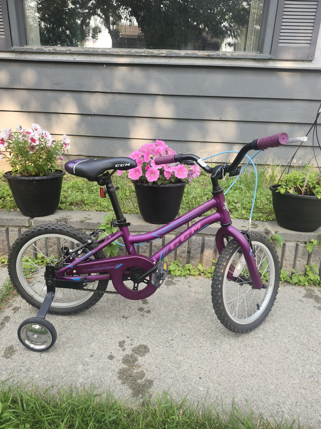 CCM Purple Kids Bike with Training Wheels