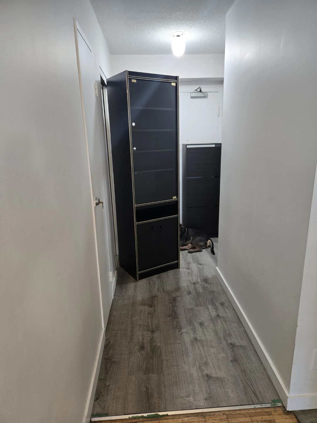 Black Display Cabinet with Glass Door