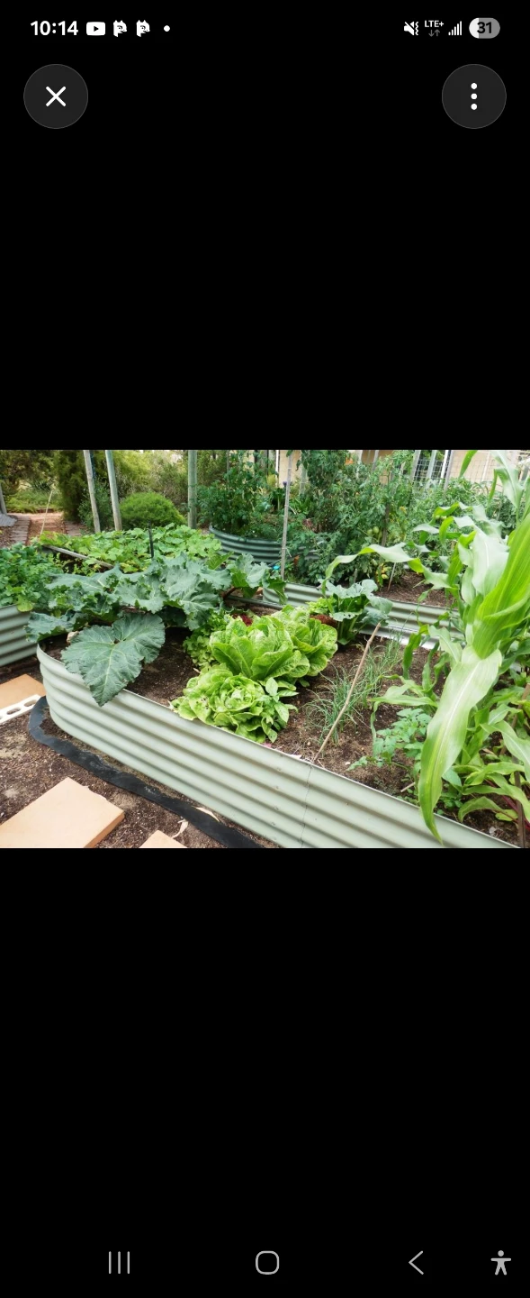 🌿 Garden Makeovers & Raised Garden Bed Installation! 🌿 - photo 2