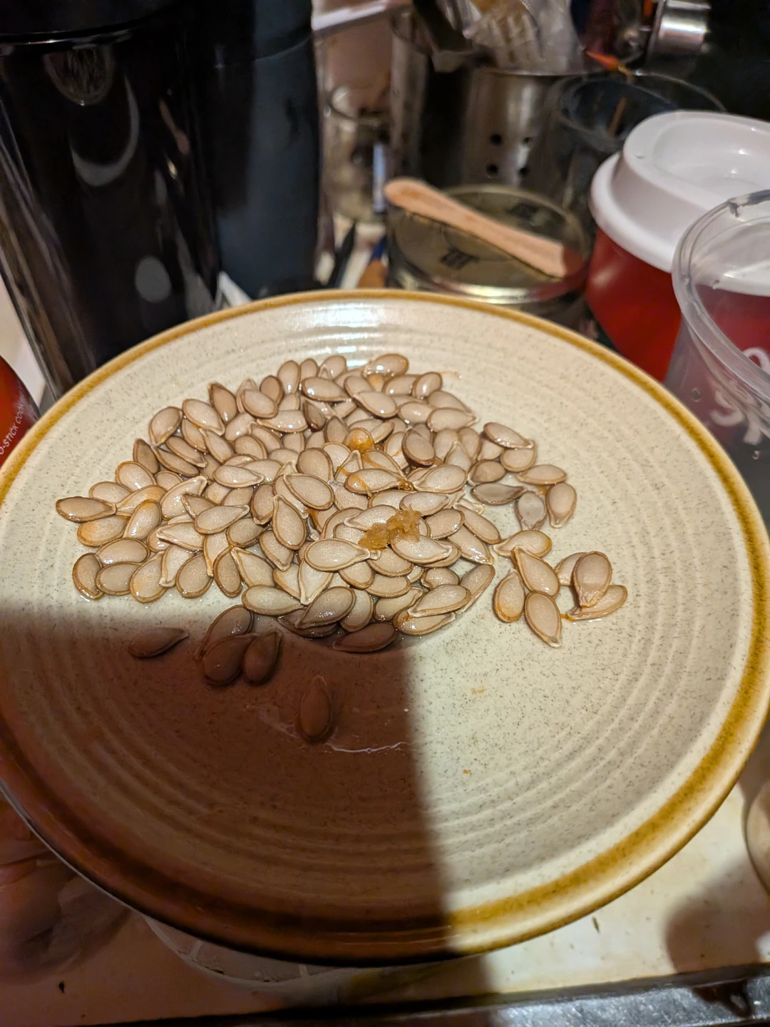 Big Chuy Butternut Squash Seeds - photo 3