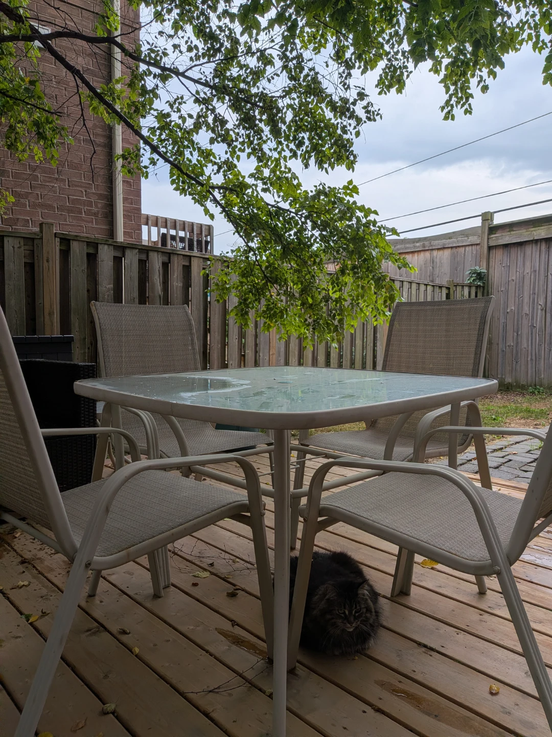 Glass top patio table with 4 chairs - photo 2